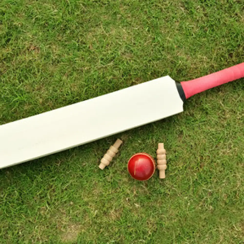 Cricket Box at Veda Adventures Park Noida - photo 3