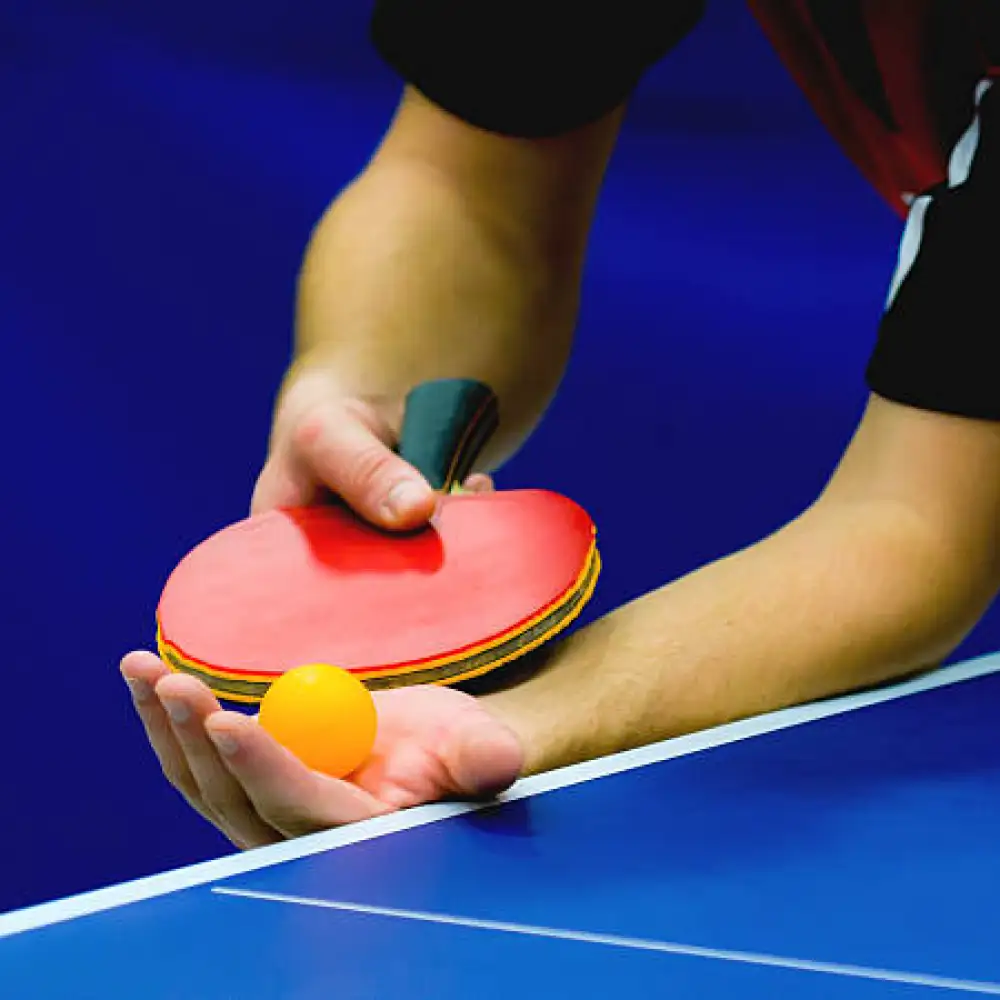 Table Tennis at Veda Adventures Park Noida - photo 2