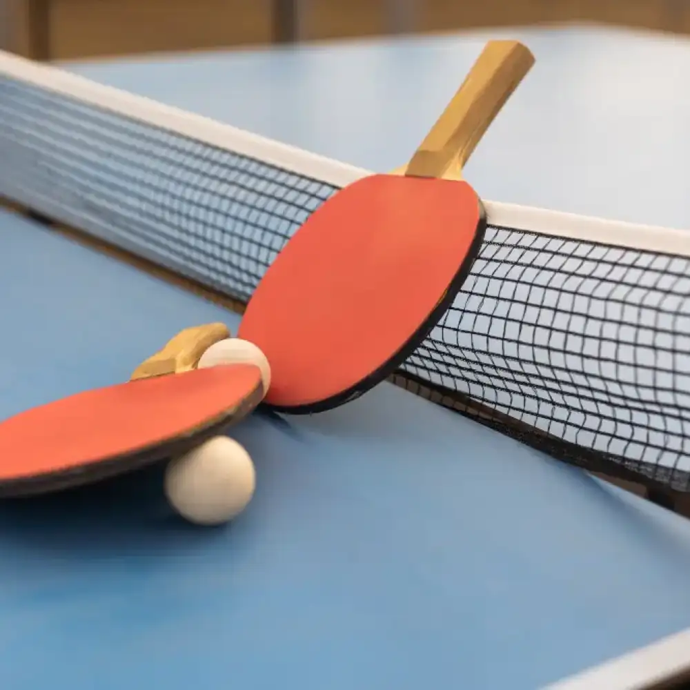 Table Tennis at Veda Adventures Park Noida - photo 3