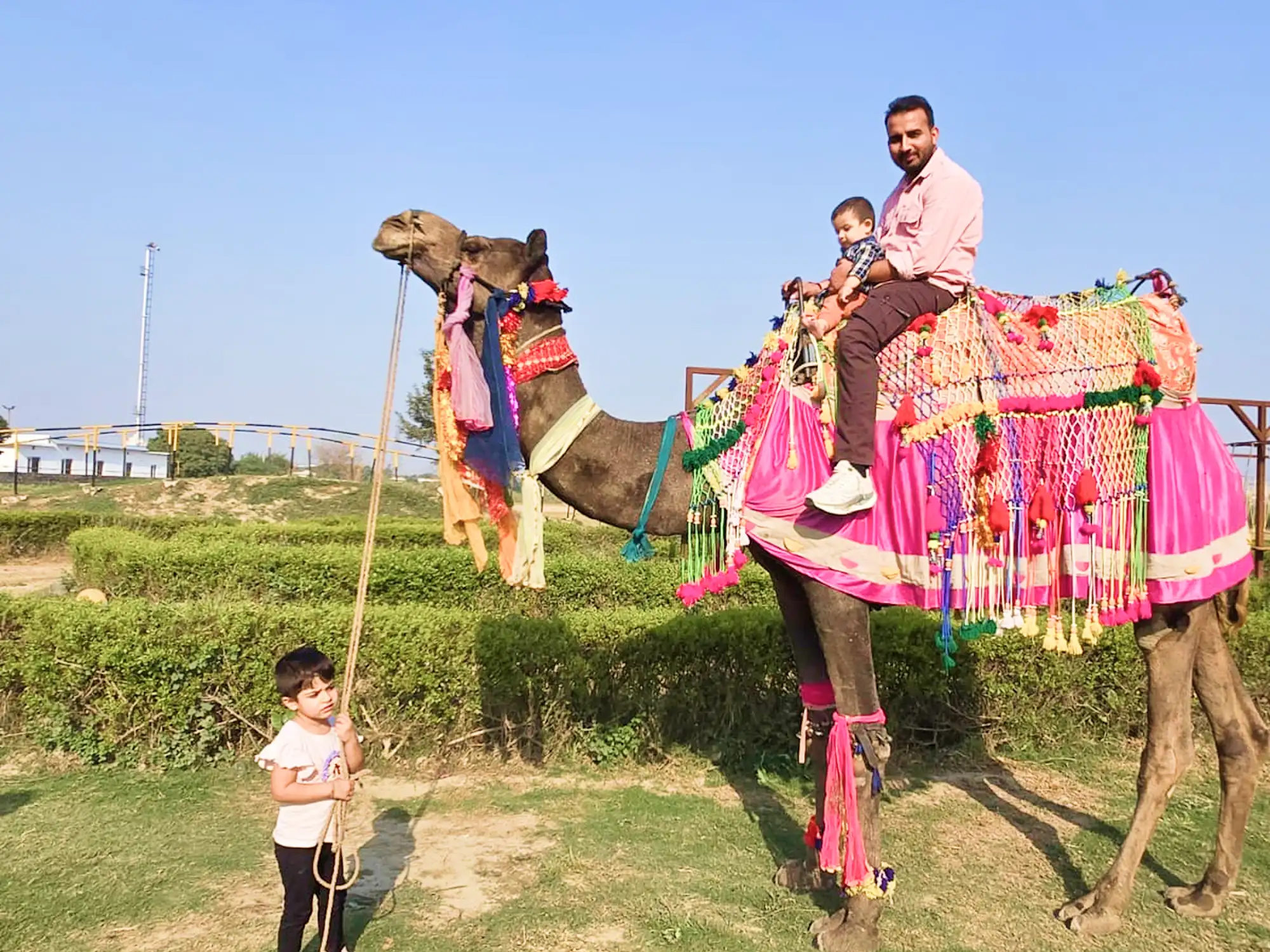 Family enjoying a decorated camel ride together
